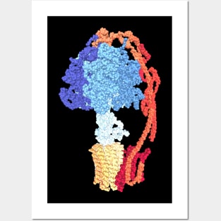 ATP synthase (bright color) Posters and Art